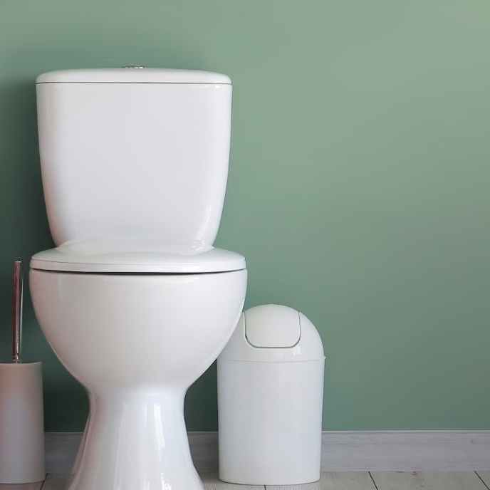 Toilette mit Mülleimer