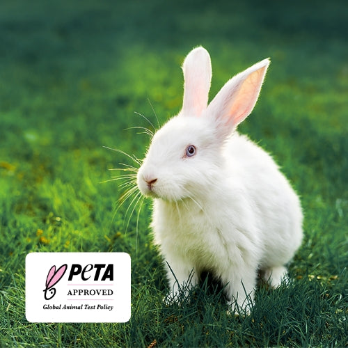 weißes Kaninchen auf einer grünen Wiese