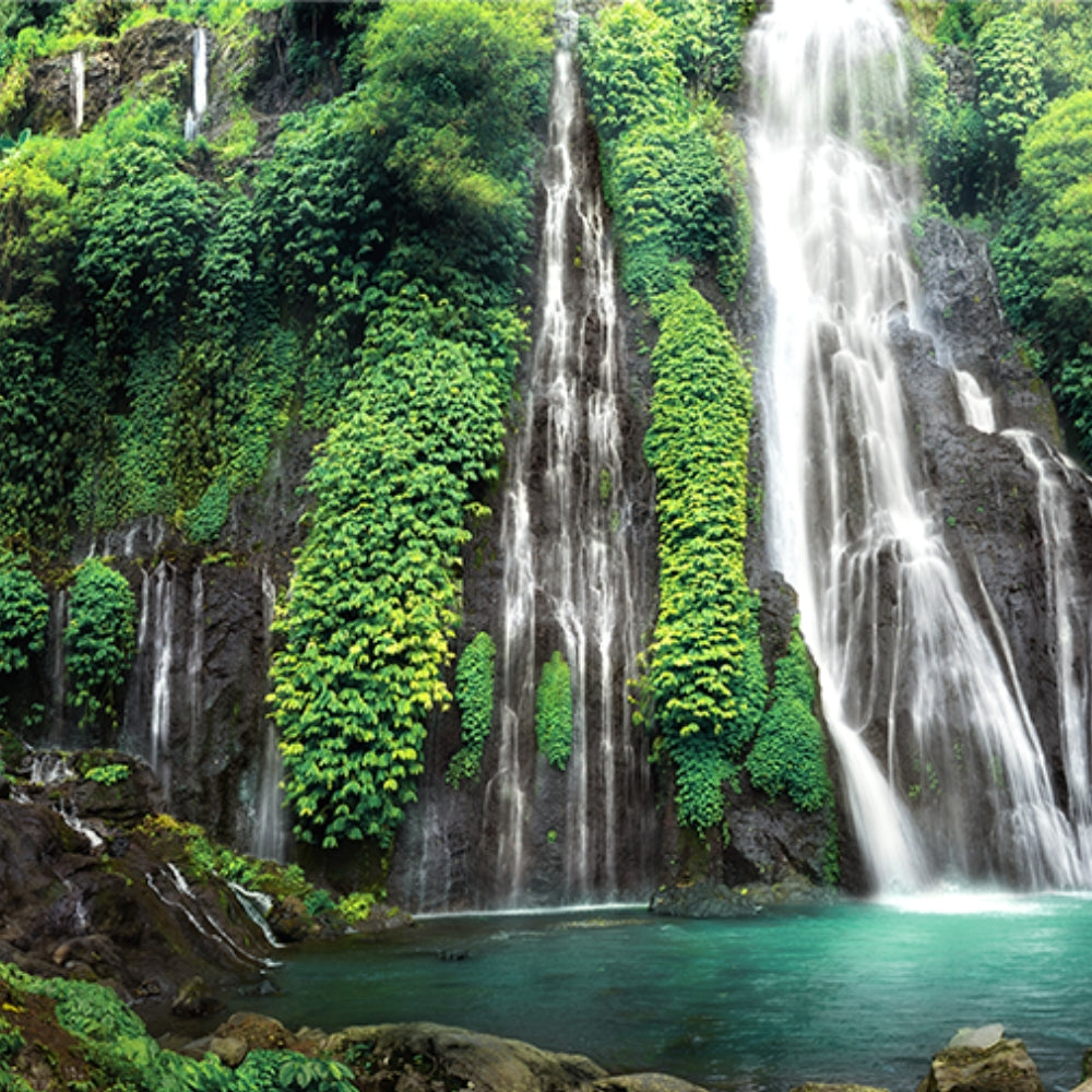 Wasserfälle und ein See im Regenwald