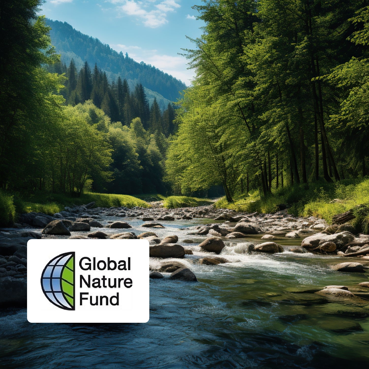 Bach in den Bergen mit fließendem Wasser und Felsen und Steinen