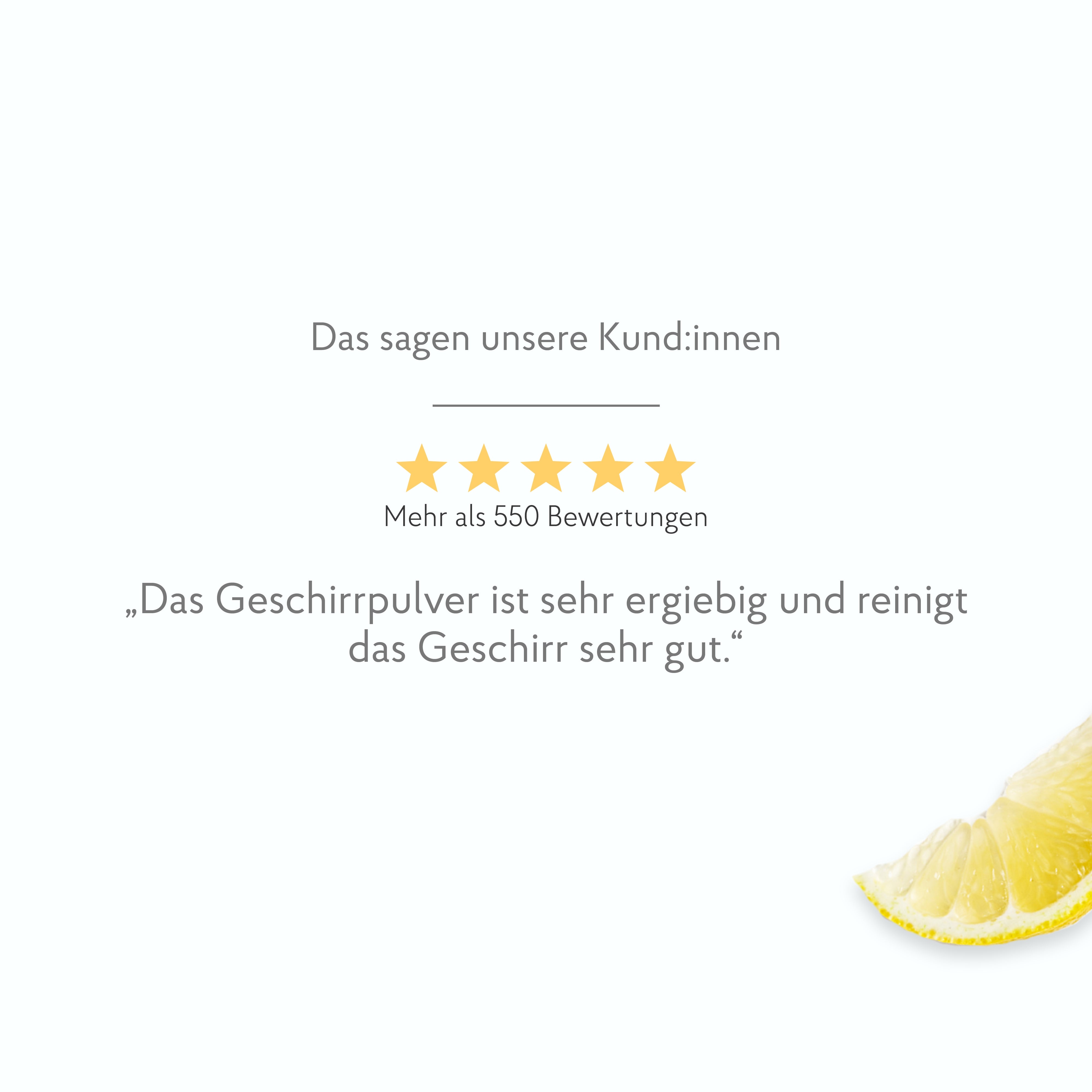 Geschirrreiniger Pulver 2kg