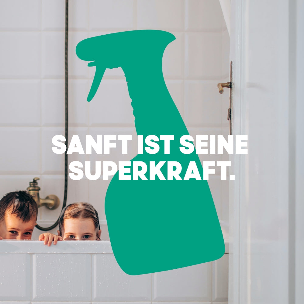 Kraftreiniger Spray 500ml