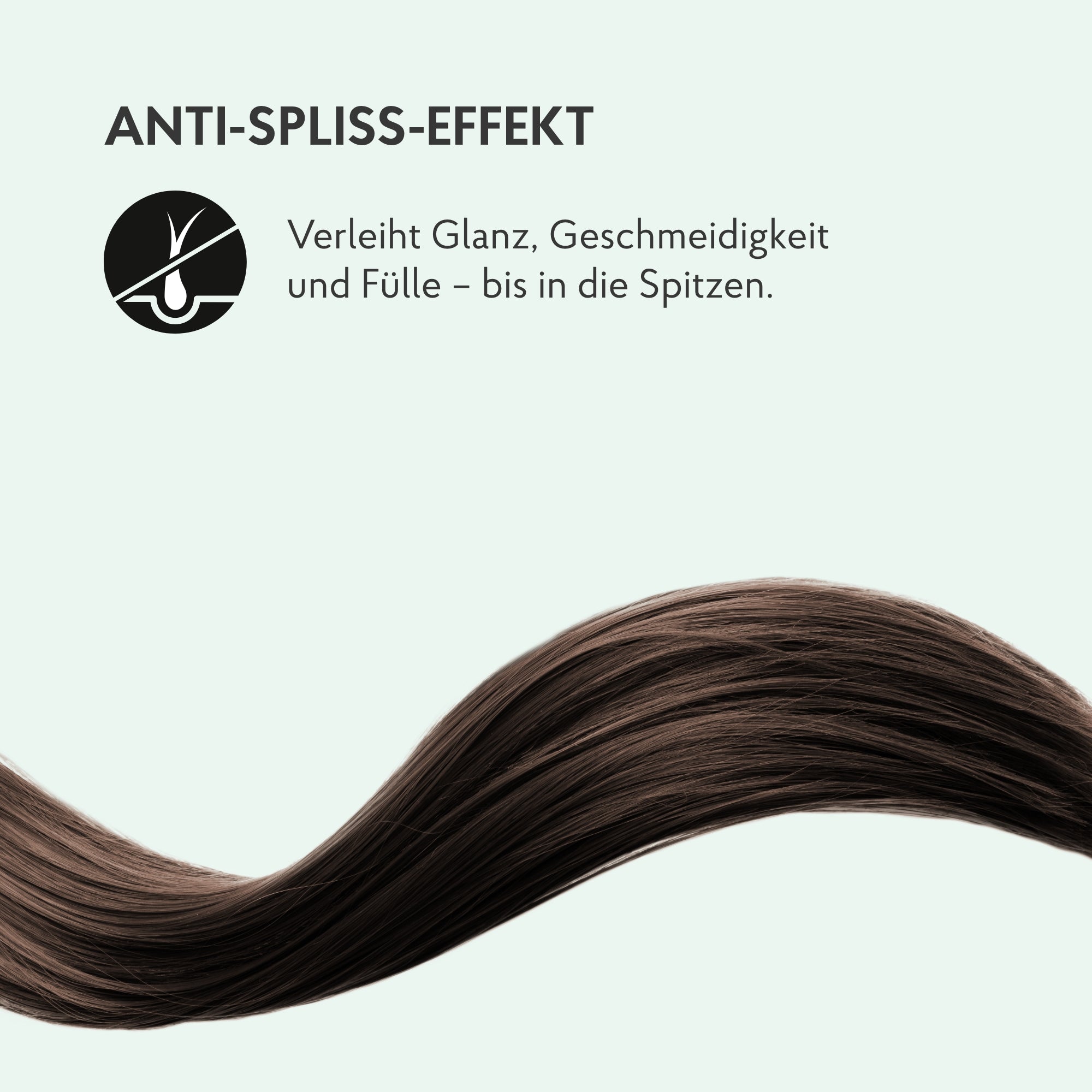 Euterpflege Shampoo mit Anti Spliss effekt