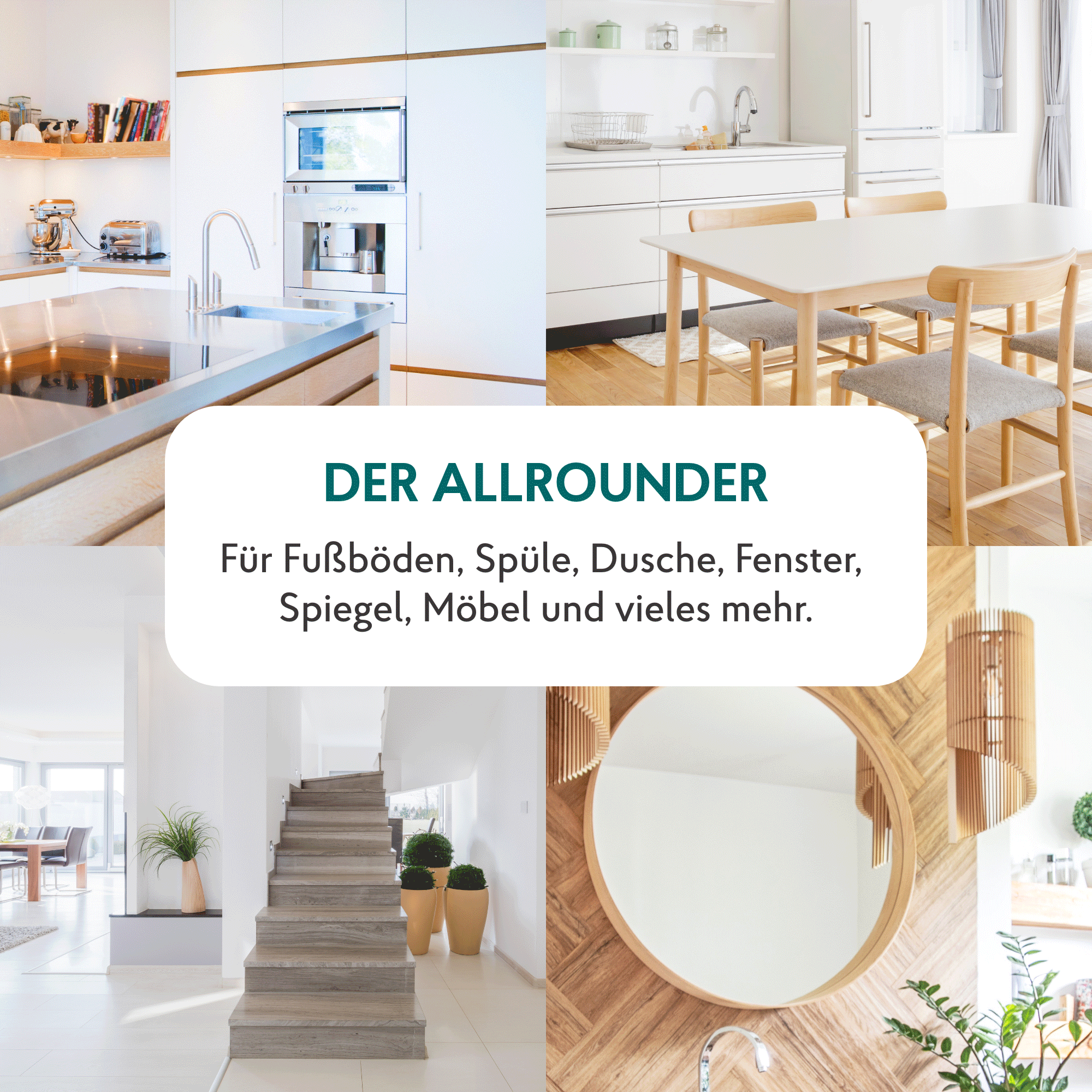 Raumpfleger Universal 750ml